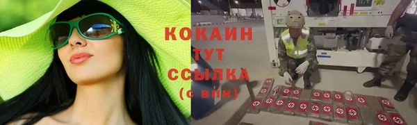 гидра Алексин