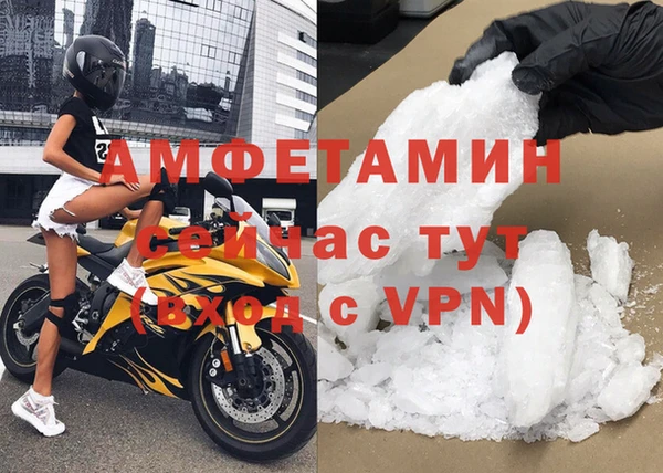 гидра Алексин