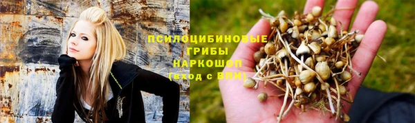 гидропоника Приозерск