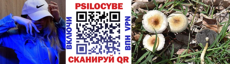 Галлюциногенные грибы мухоморы  Зуевка 